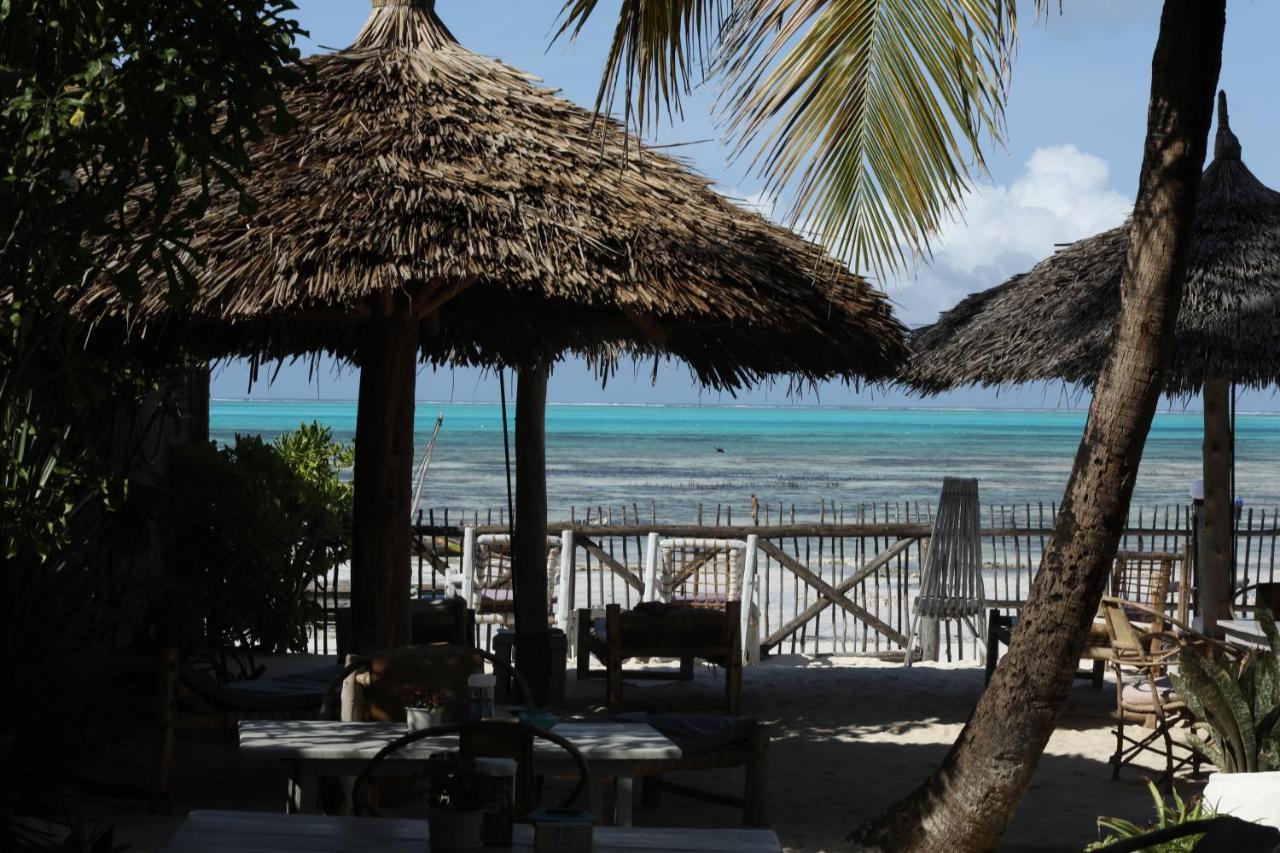 Bahari Beach Bungalows Jambiani  Exteriér fotografie